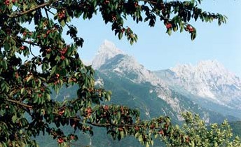 The Apuan Alps