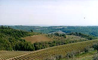 Scenic view from one of out Villas in Tuscany